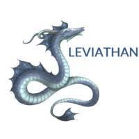 Leviathan Consulting